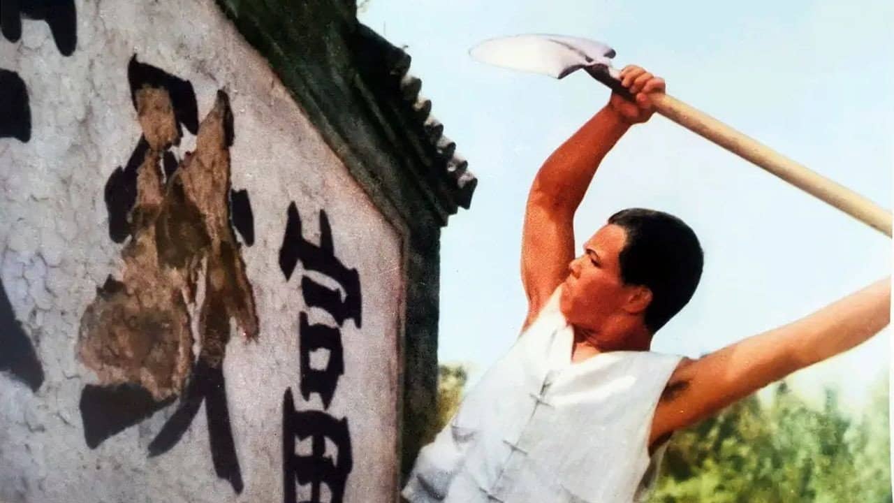 Jin guang da dao shang ji backdrop
