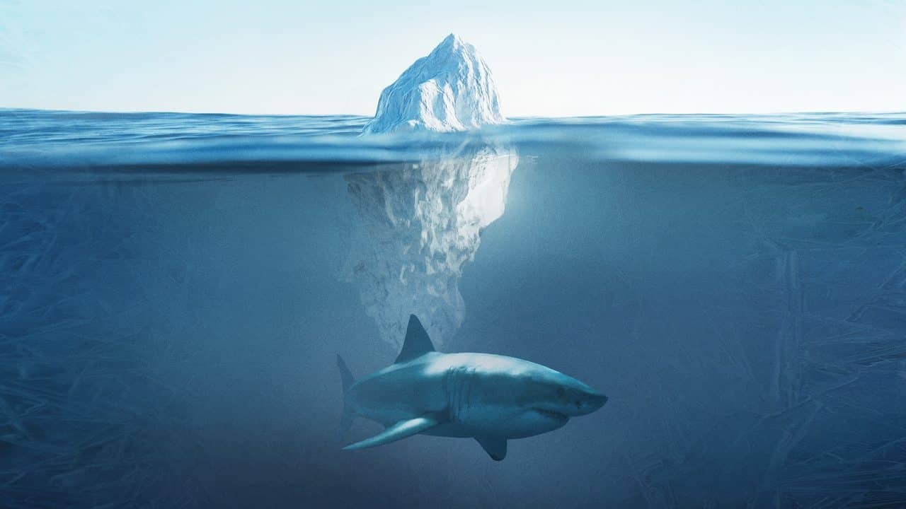 Shark Below Zero backdrop