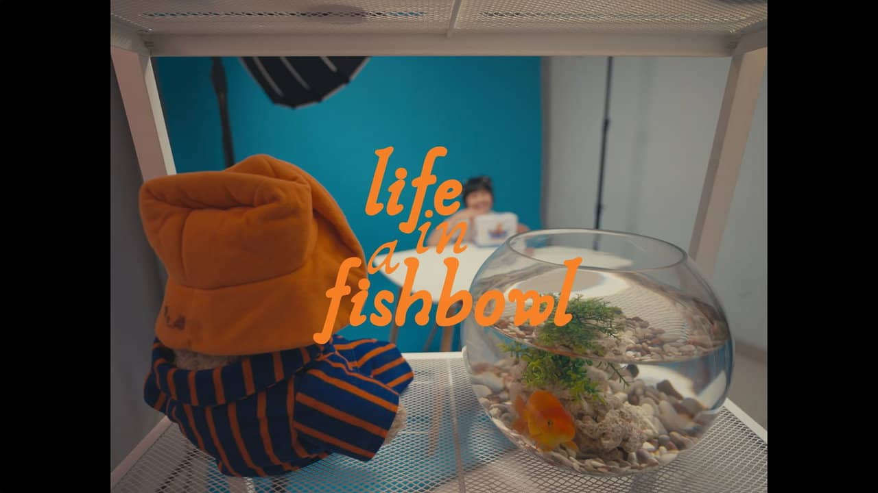 Life in a Fishbowl backdrop