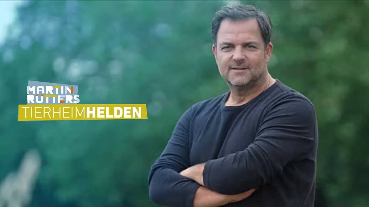 Martin Rütters Tierheimhelden backdrop