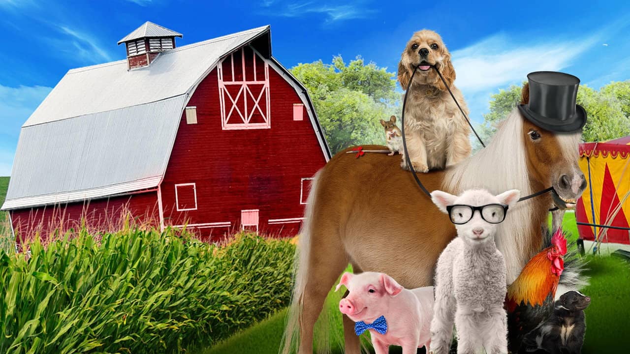 A Dog and Pony Show backdrop