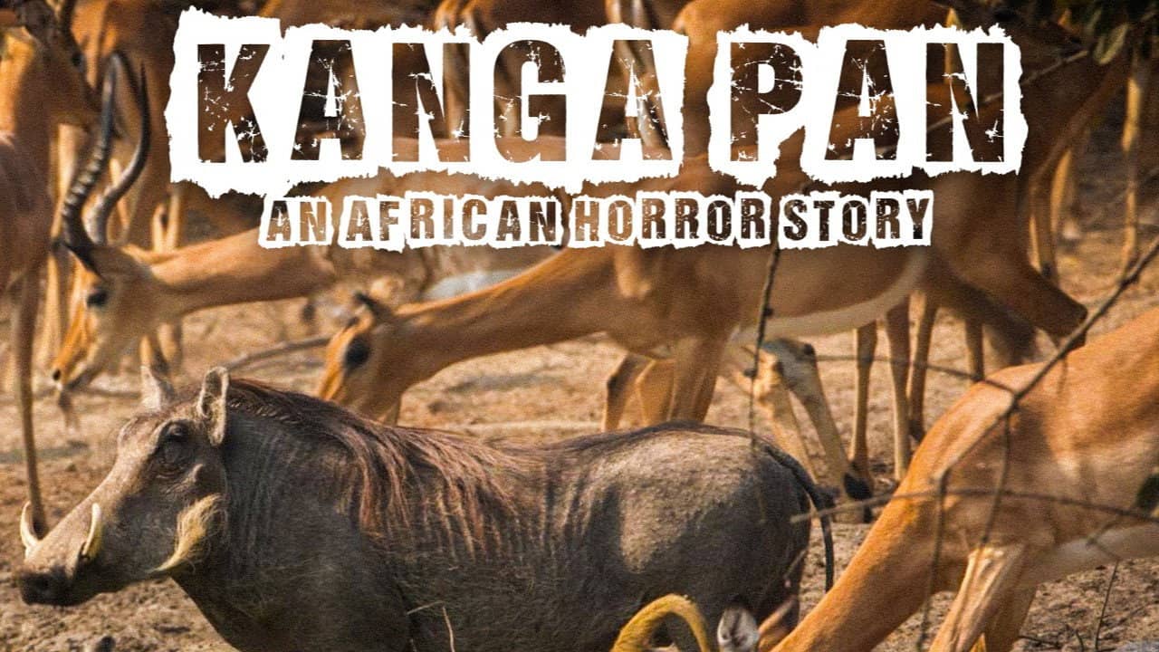 Disparitions autour du Kanga Pan backdrop
