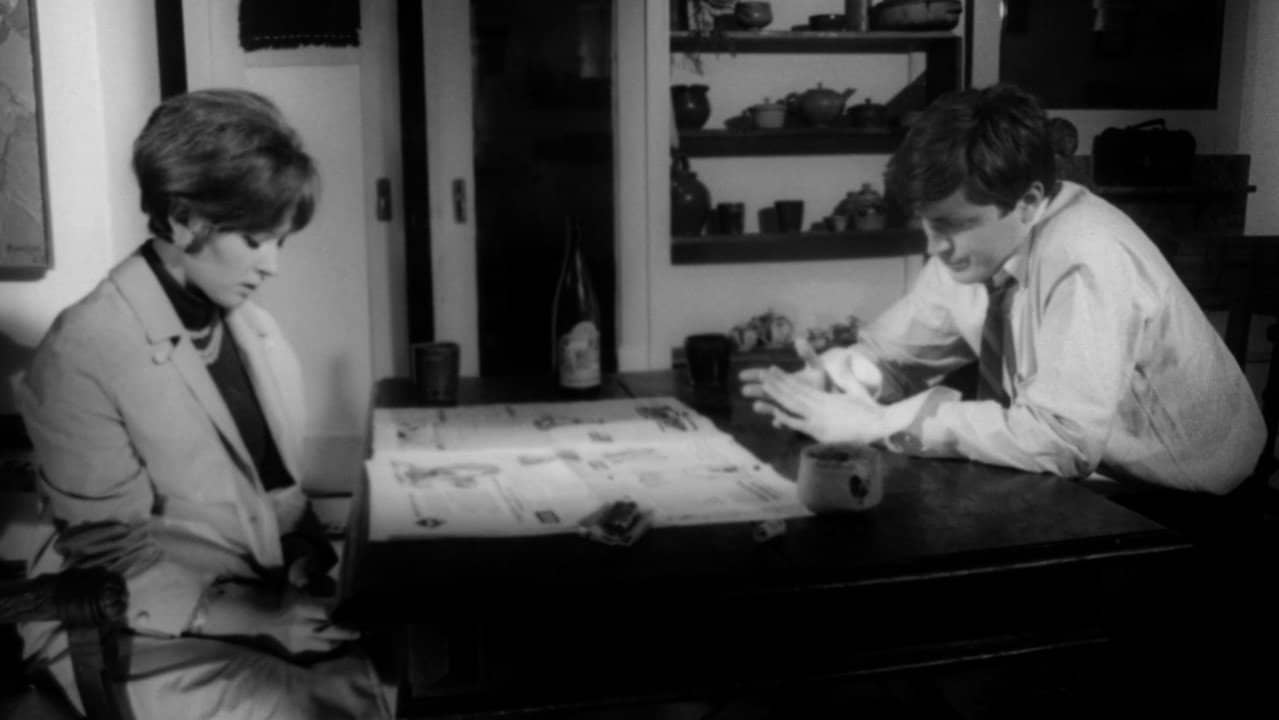 Stella backdrop