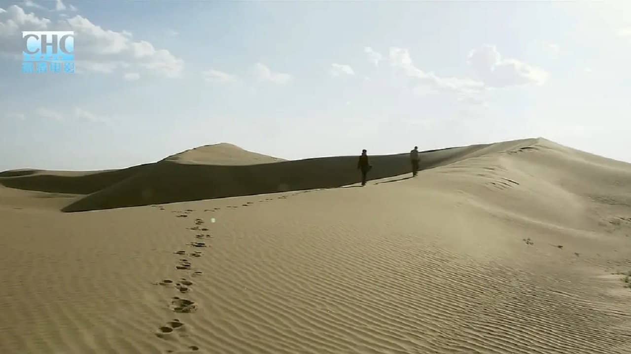 野狐梁的女人 backdrop