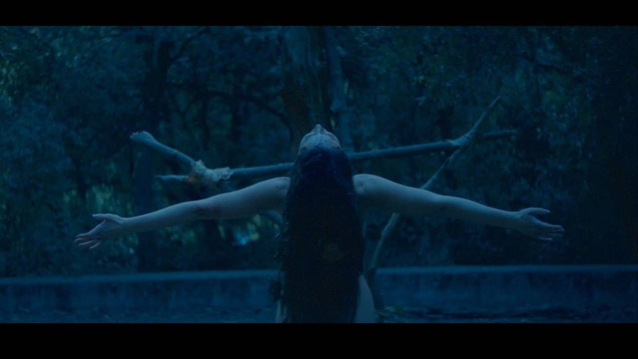 Génesis backdrop