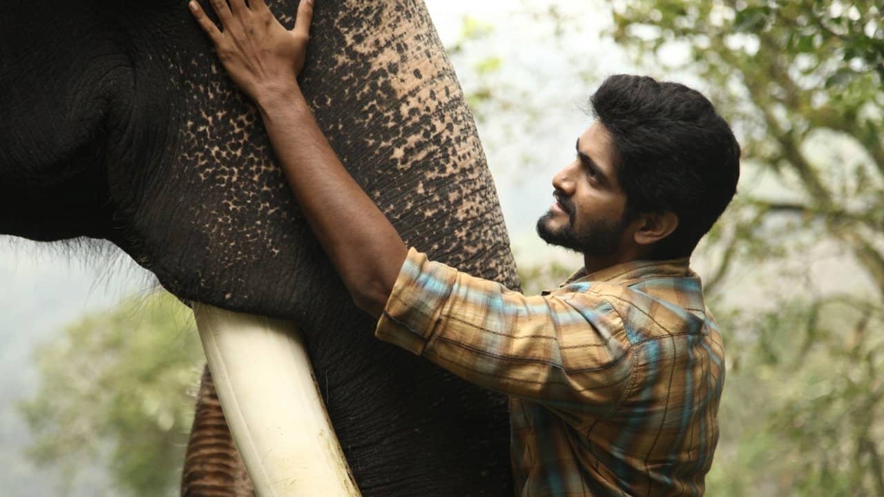 Kumki 2 backdrop