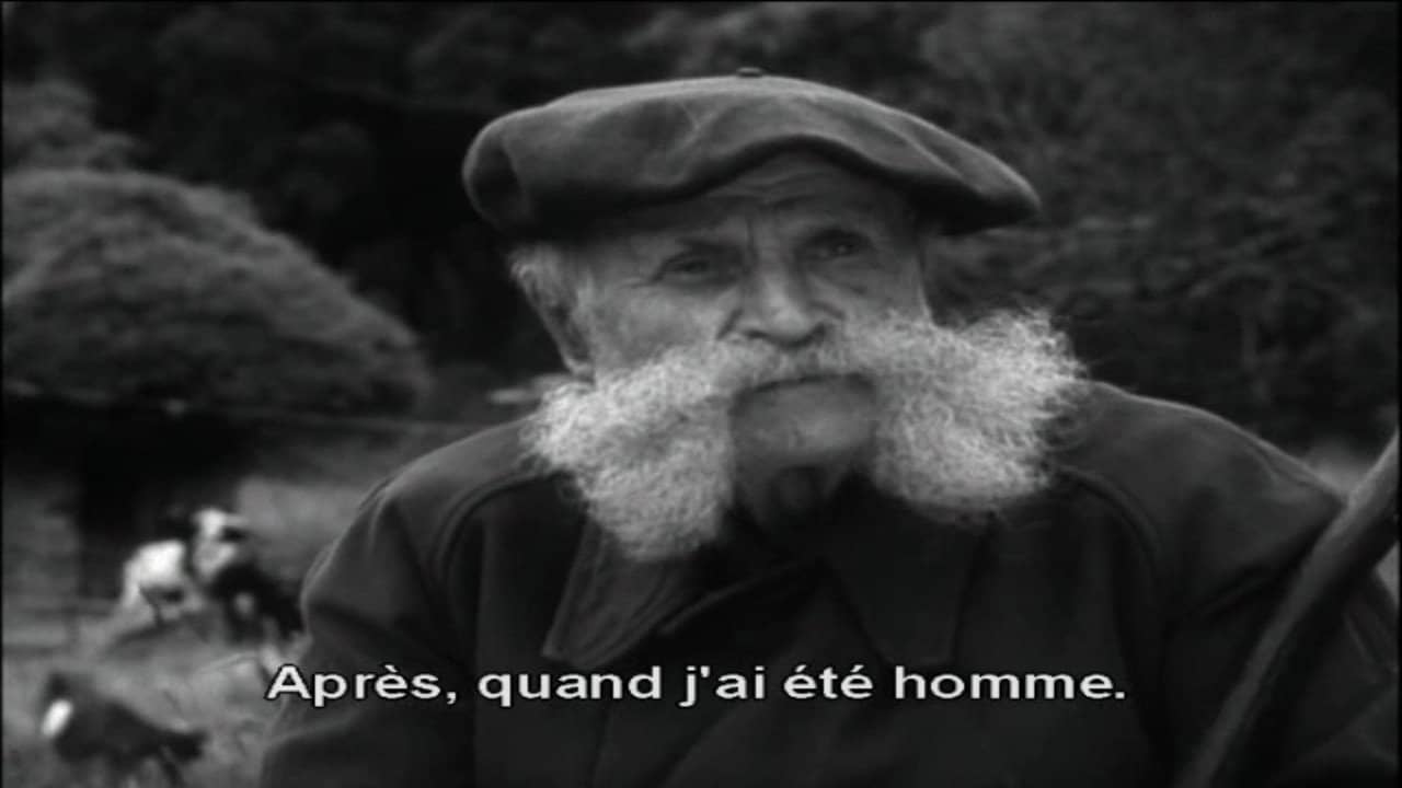 Maurin des Maures backdrop