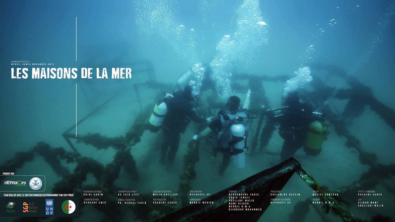 Les Maisons De La Mer backdrop