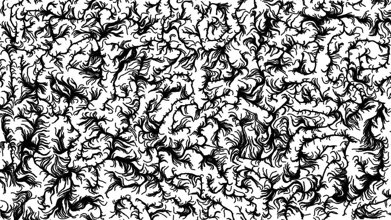 Verrückt backdrop