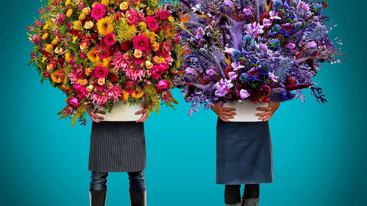 Full Bloom backdrop