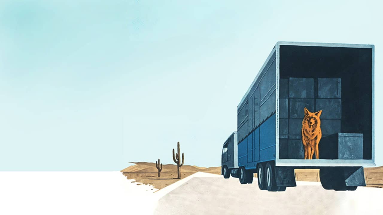 A Country Coyote Goes Hollywood backdrop
