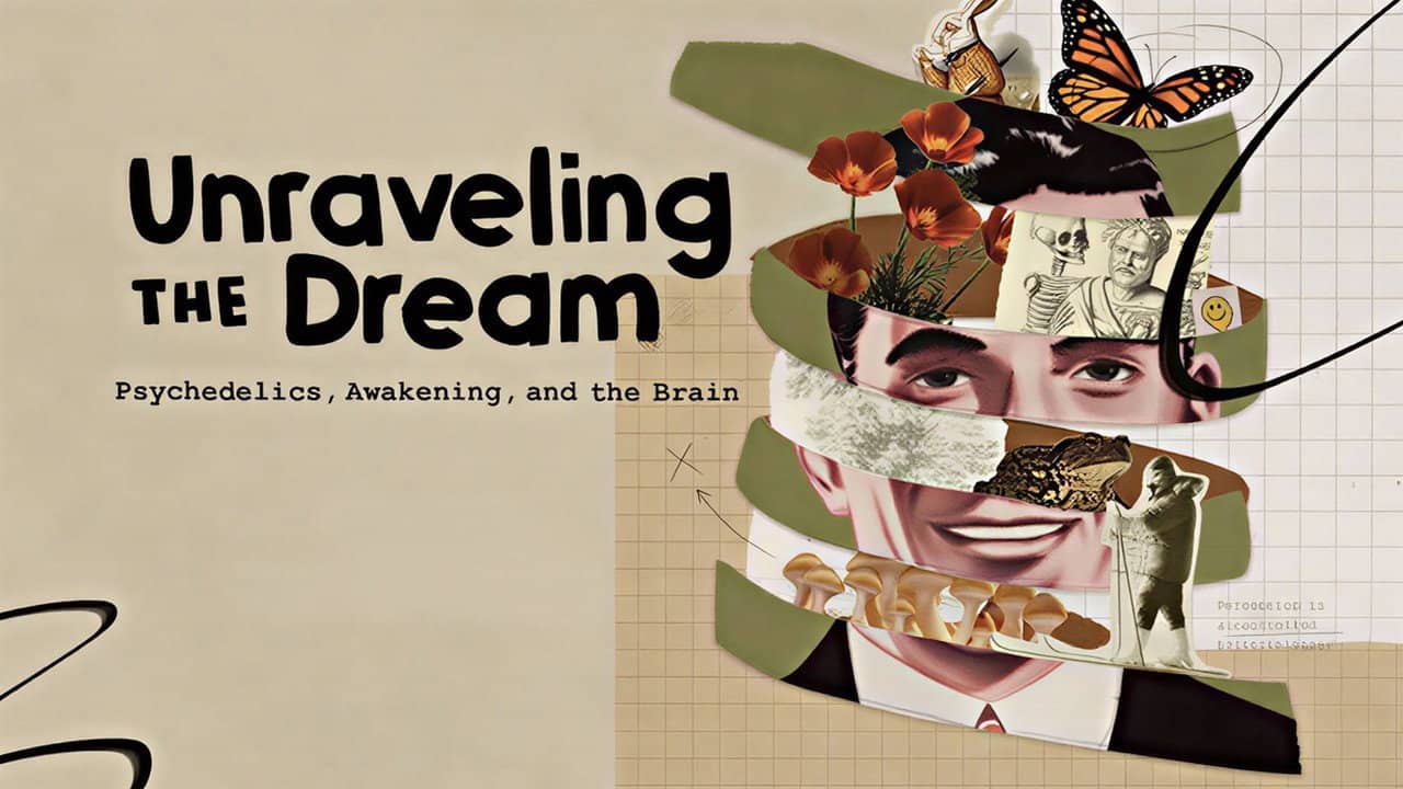 Unraveling the Dream backdrop
