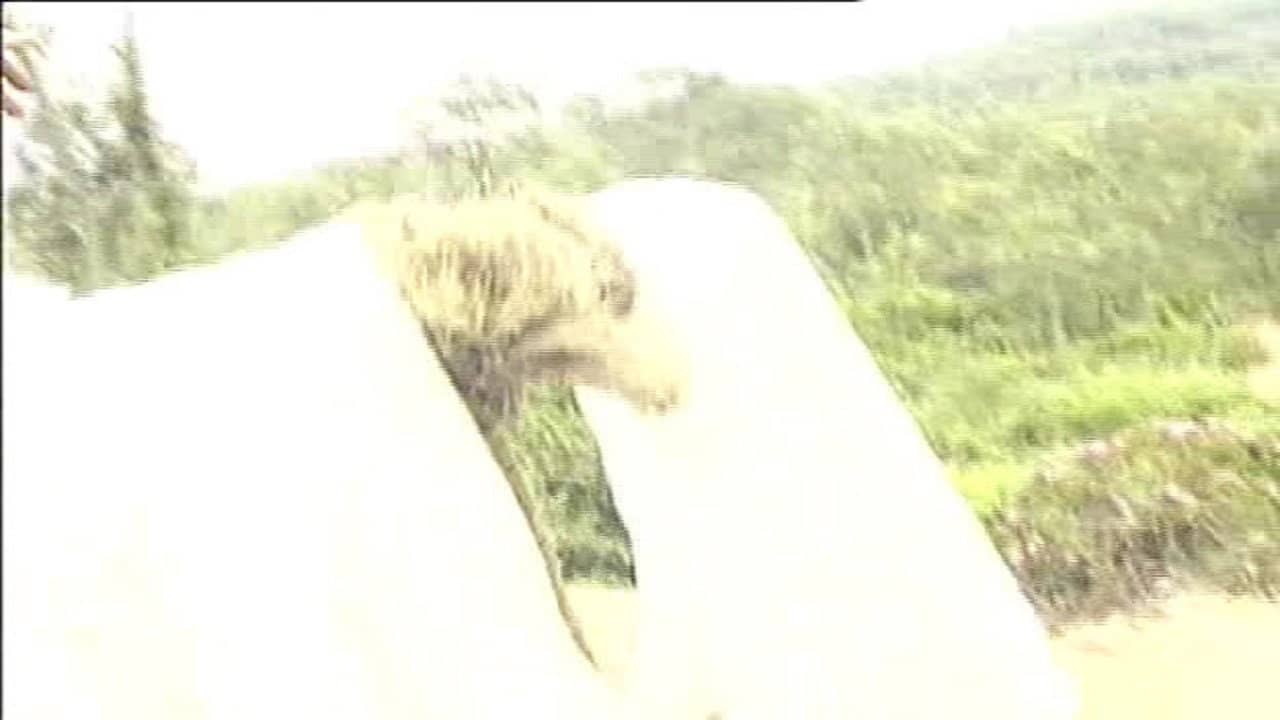风月宝鉴之初入桃源洞 backdrop