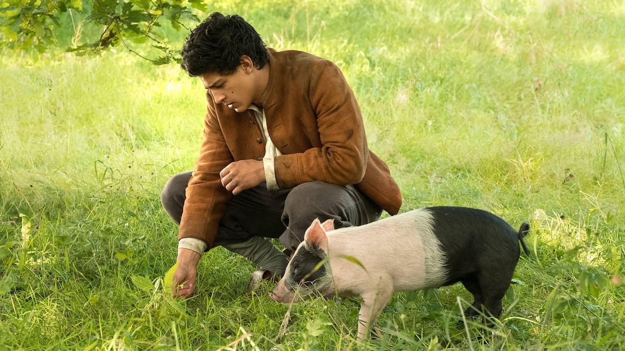 Der Schweinehirt backdrop