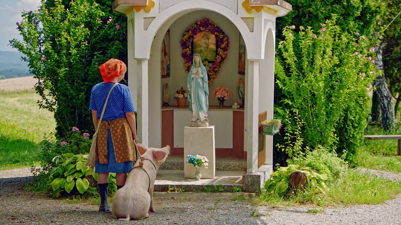 Even Pigs Go to Heaven backdrop