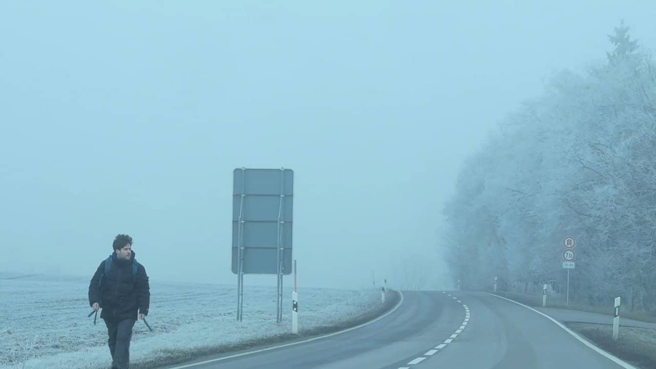 Dear Werner (Walking on Cinema) backdrop