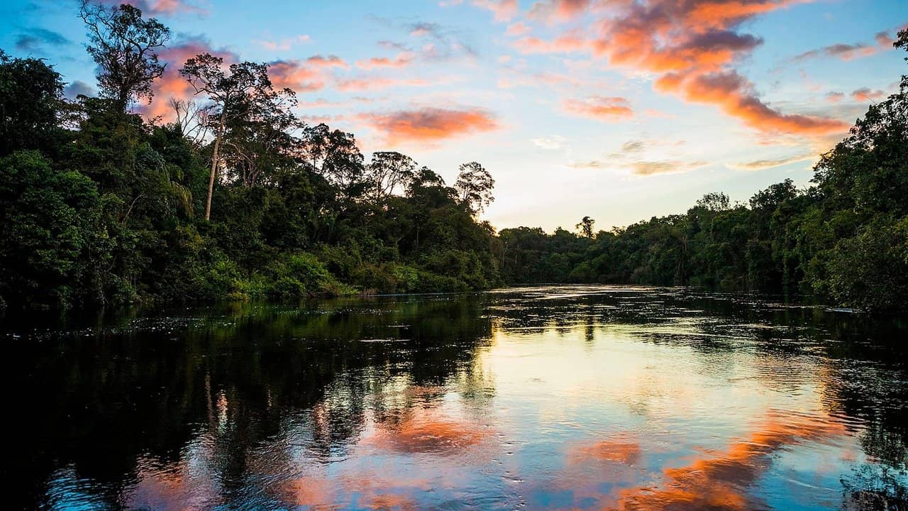 Earth's Great Rivers backdrop
