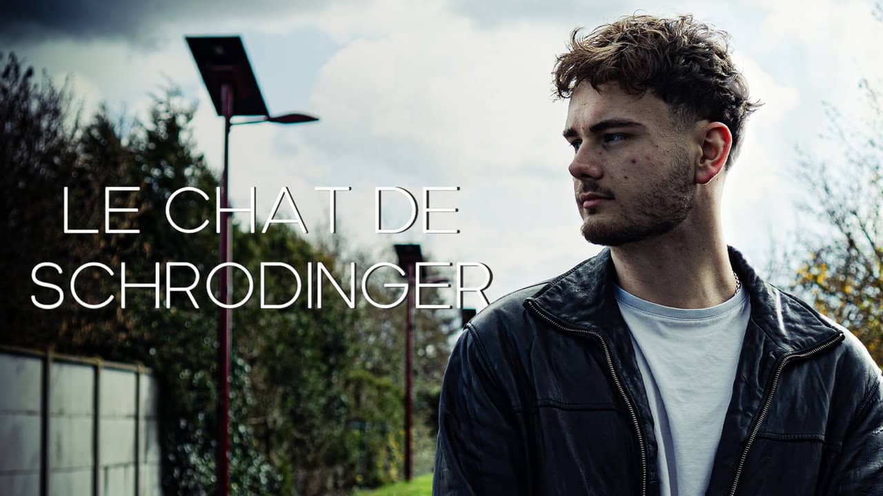 Le Chat de Schrödinger backdrop