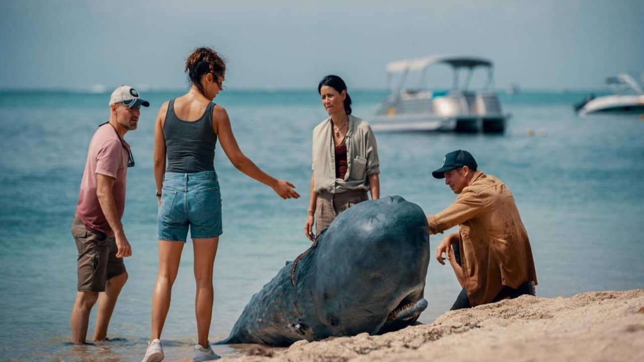 Retter der Meere - Tödliche Strandung backdrop