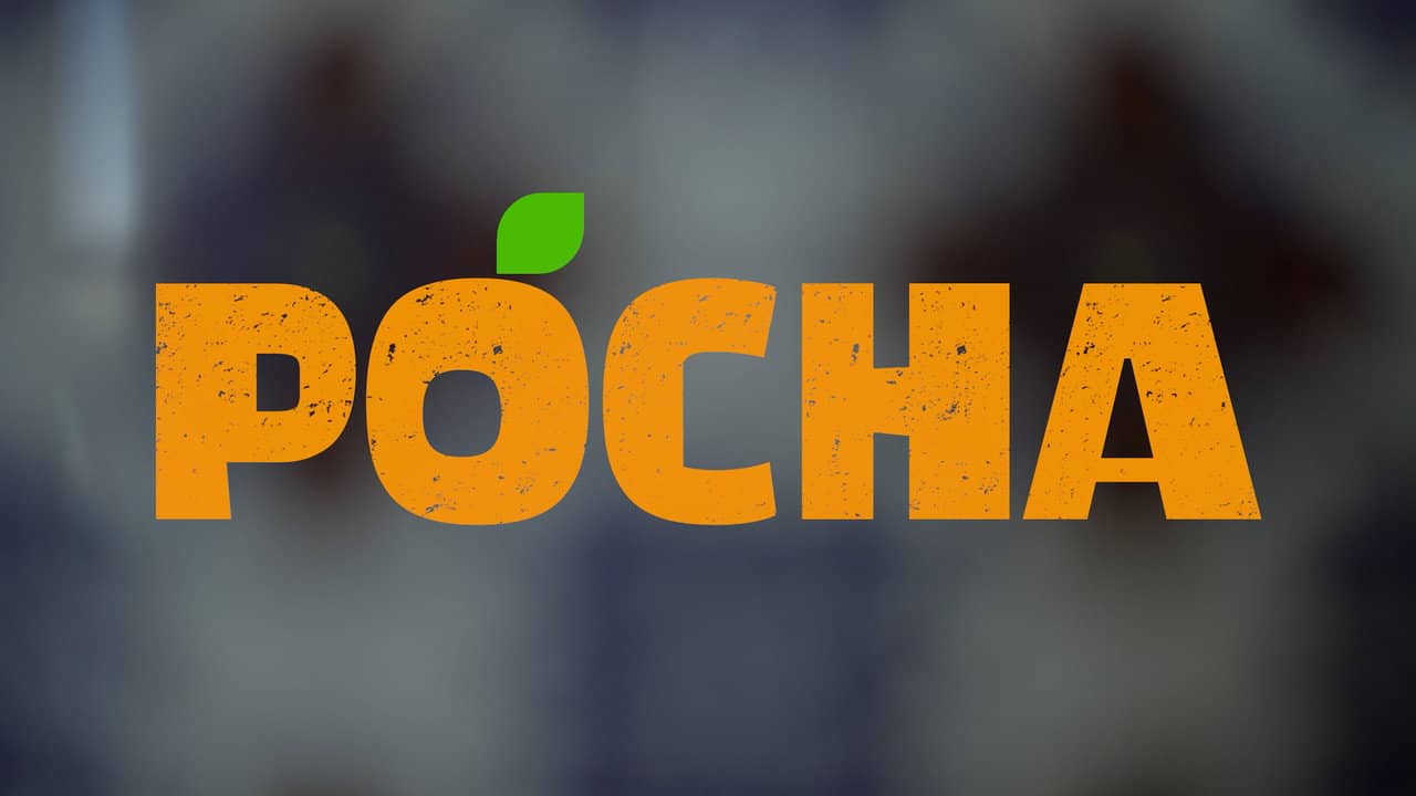 Pocha backdrop