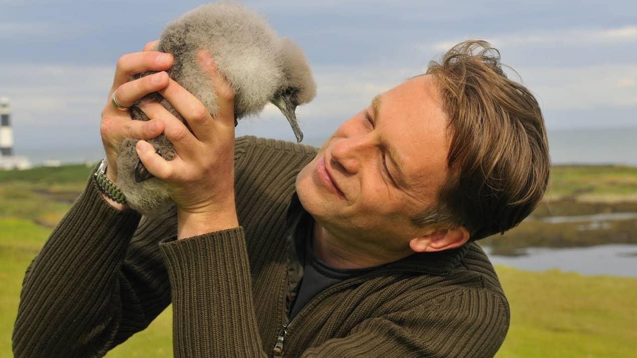 The Animal's Guide to Britain backdrop