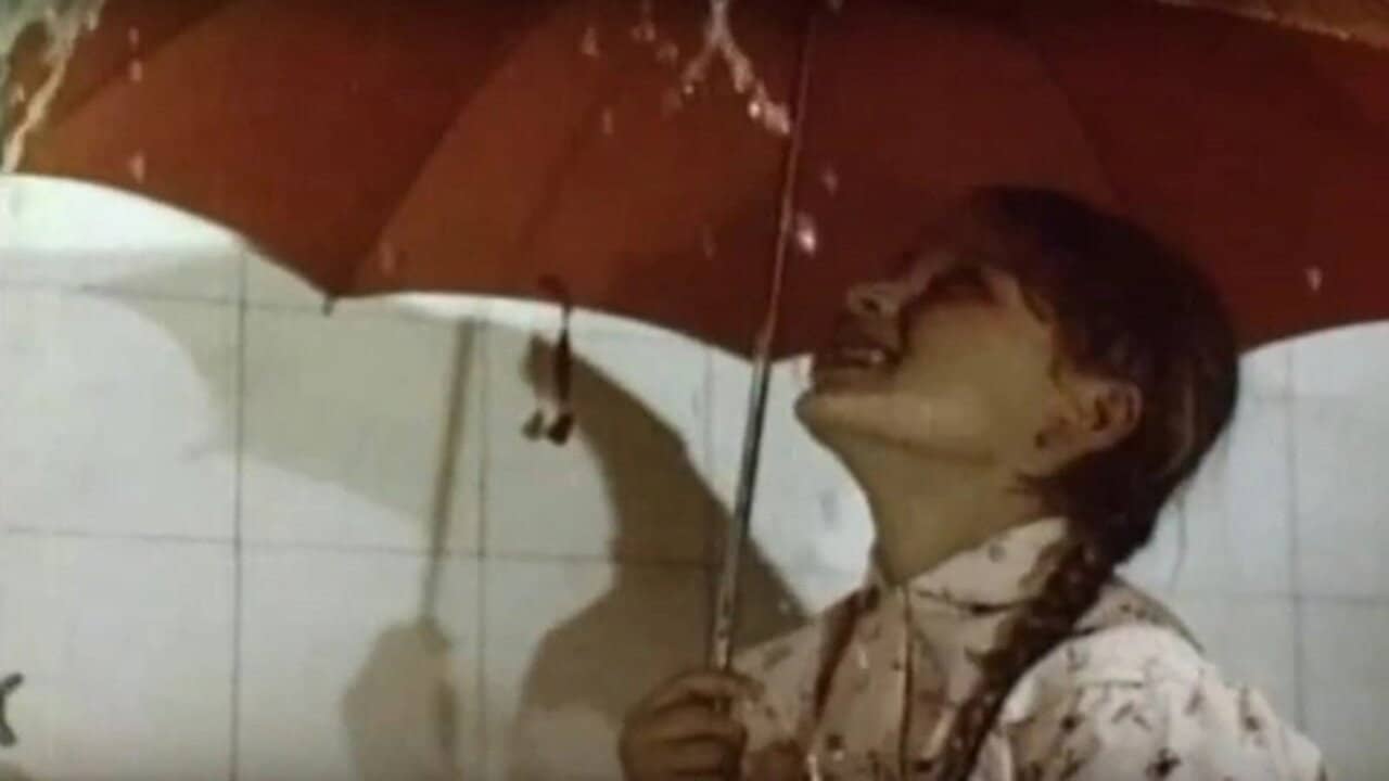 Umbrella backdrop