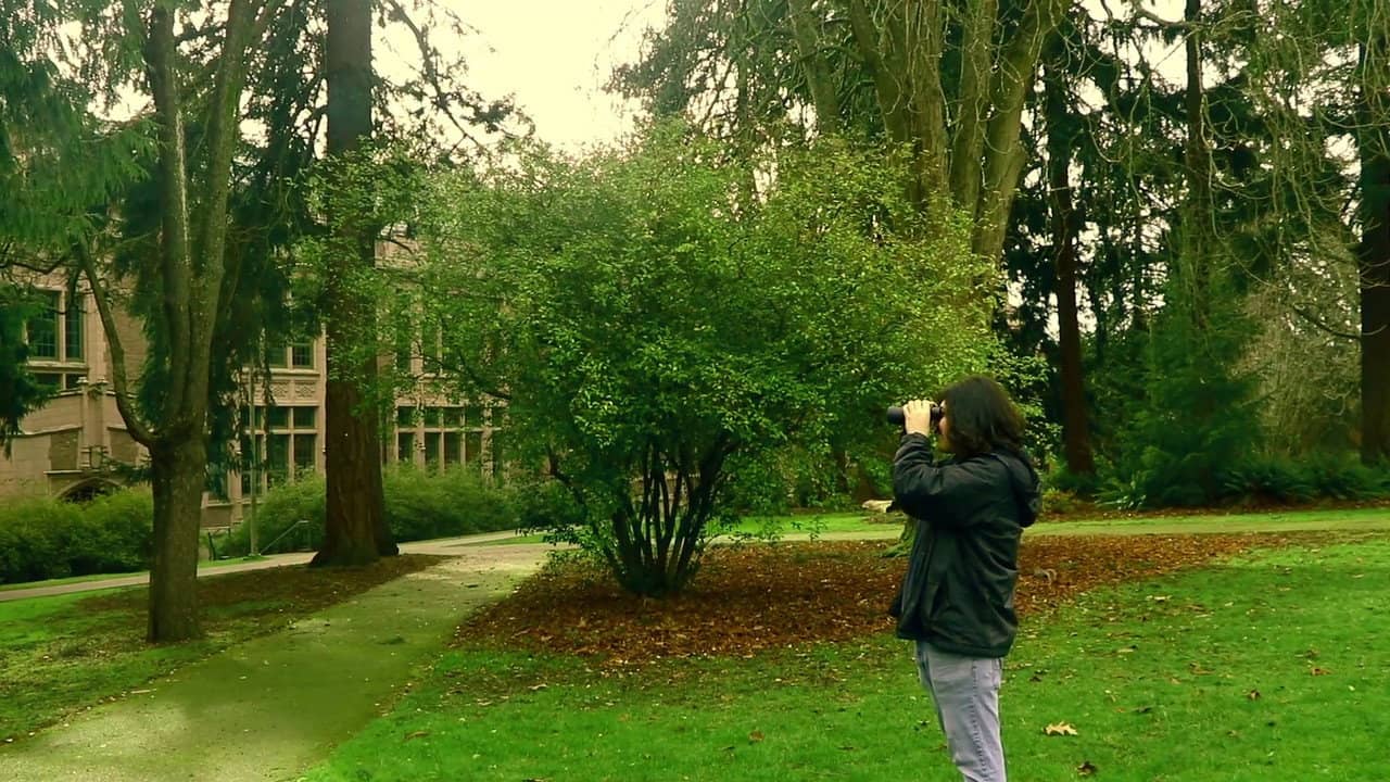 A Man Finds Binoculars backdrop