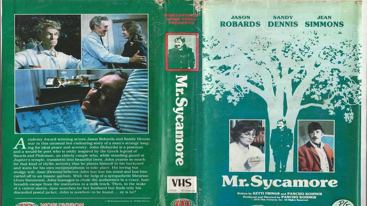 Mr. Sycamore backdrop