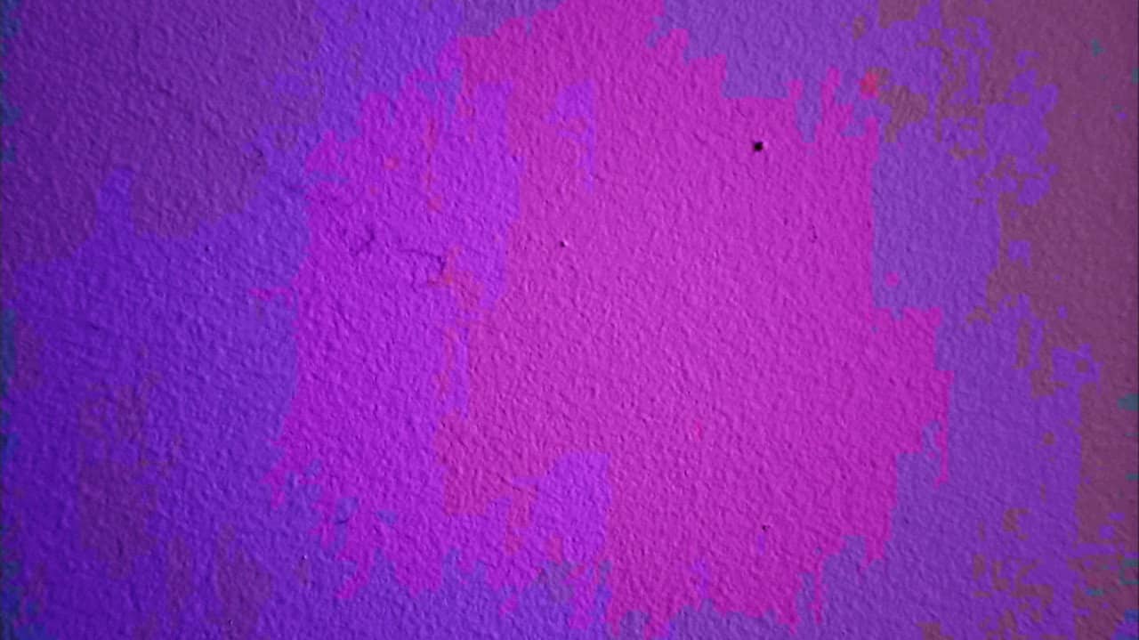 a tiny bug crawls across a wall backdrop