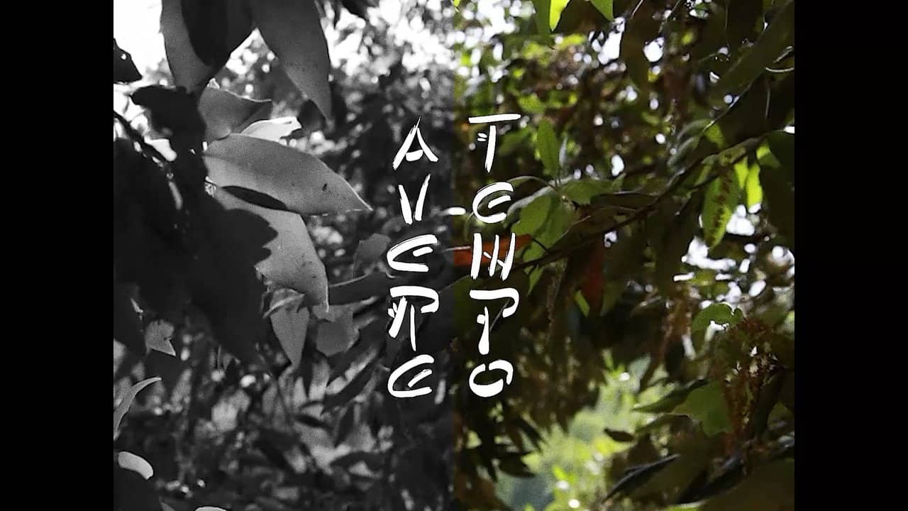 AVERE TEMPO backdrop