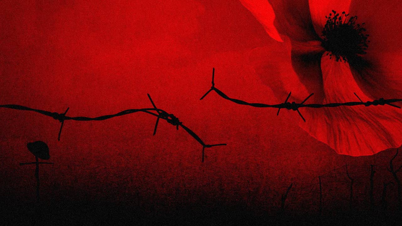 The Somme 1916: From Both Sides of the Wire backdrop