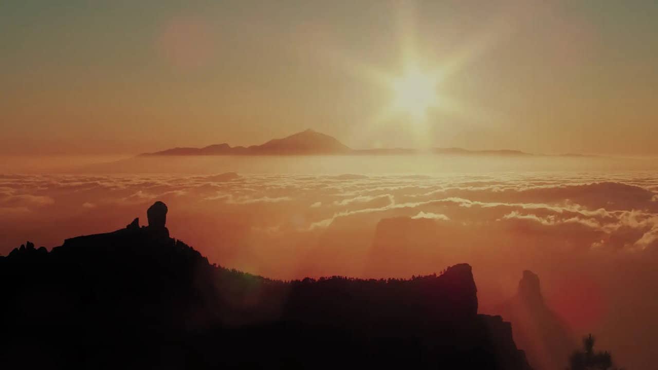 Wild Canary Islands backdrop