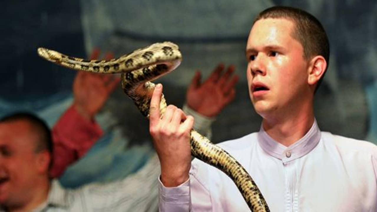 Snake Salvation backdrop