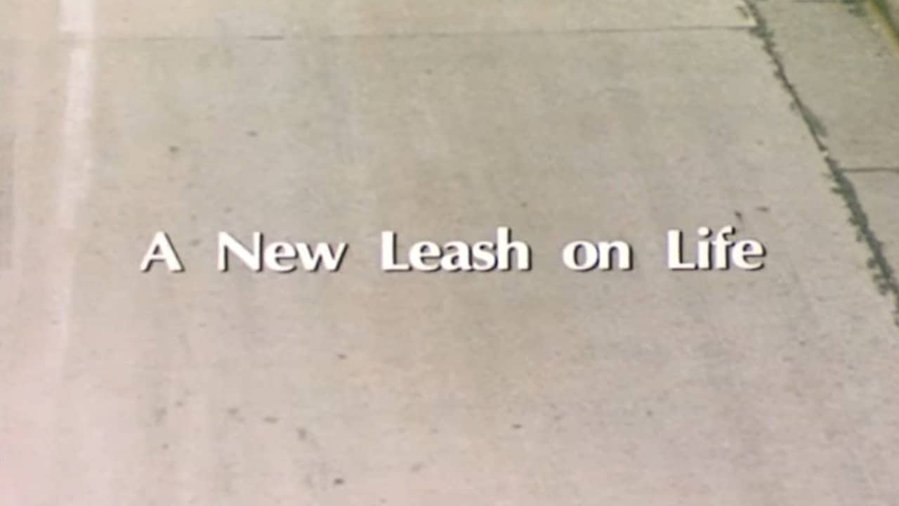 A New Leash On Life backdrop