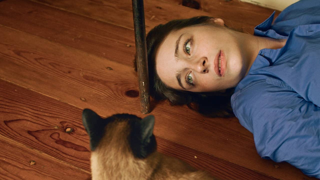 Dois e Um Gato backdrop