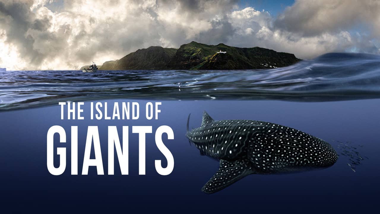 The Island of Giants backdrop
