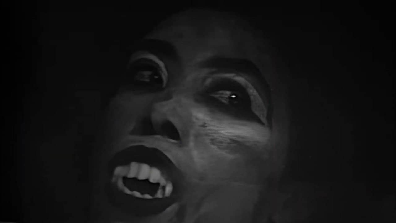 Fright Night of the Living Dead backdrop