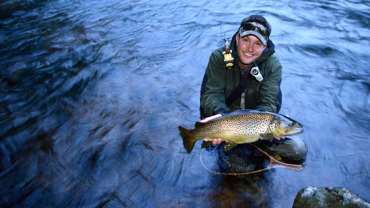 King Fishers: Battle Of The Nordics backdrop