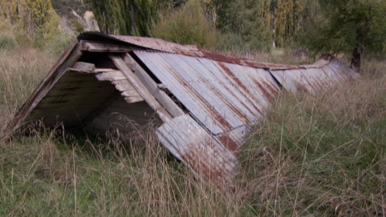 Saving Grace - Te Whakarauora Tangata backdrop