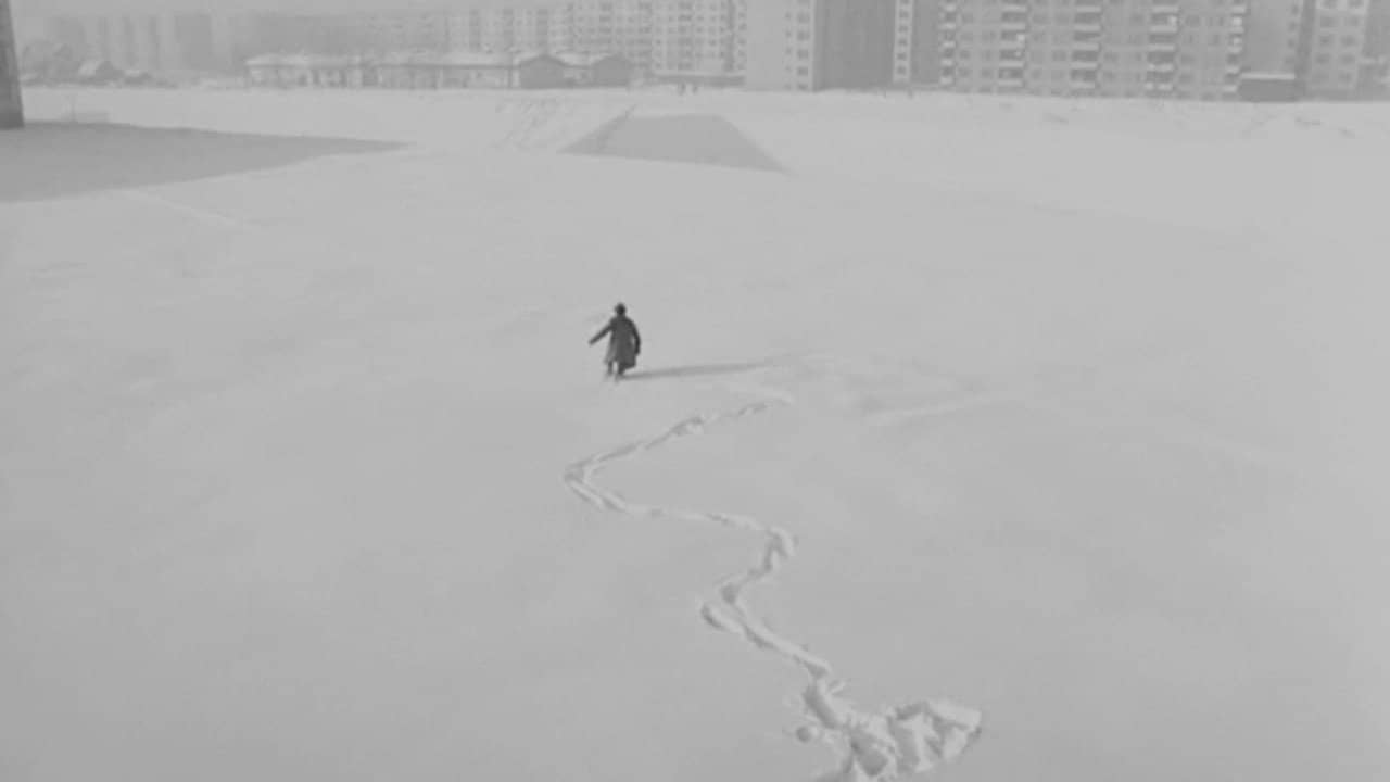 The Path backdrop