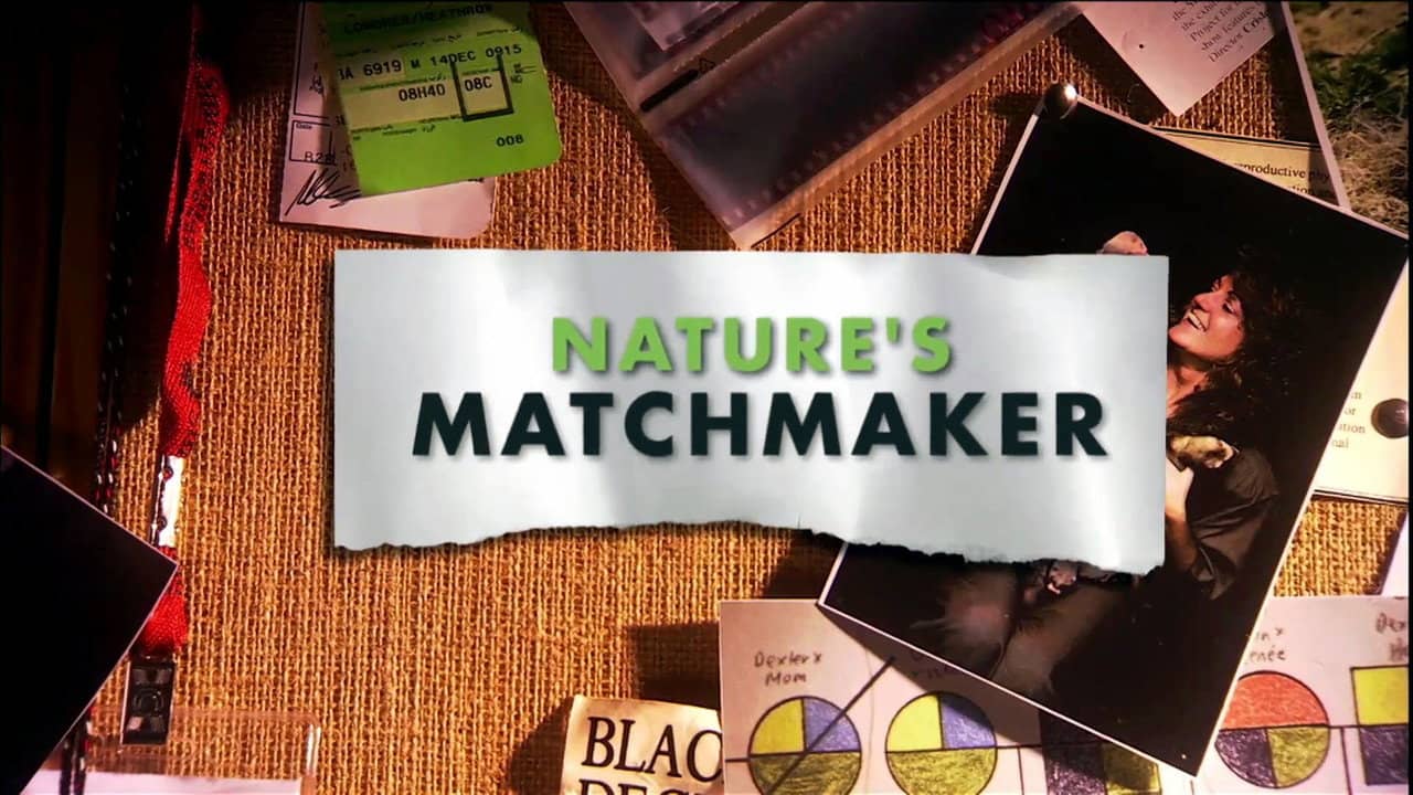 Nature's Matchmaker backdrop