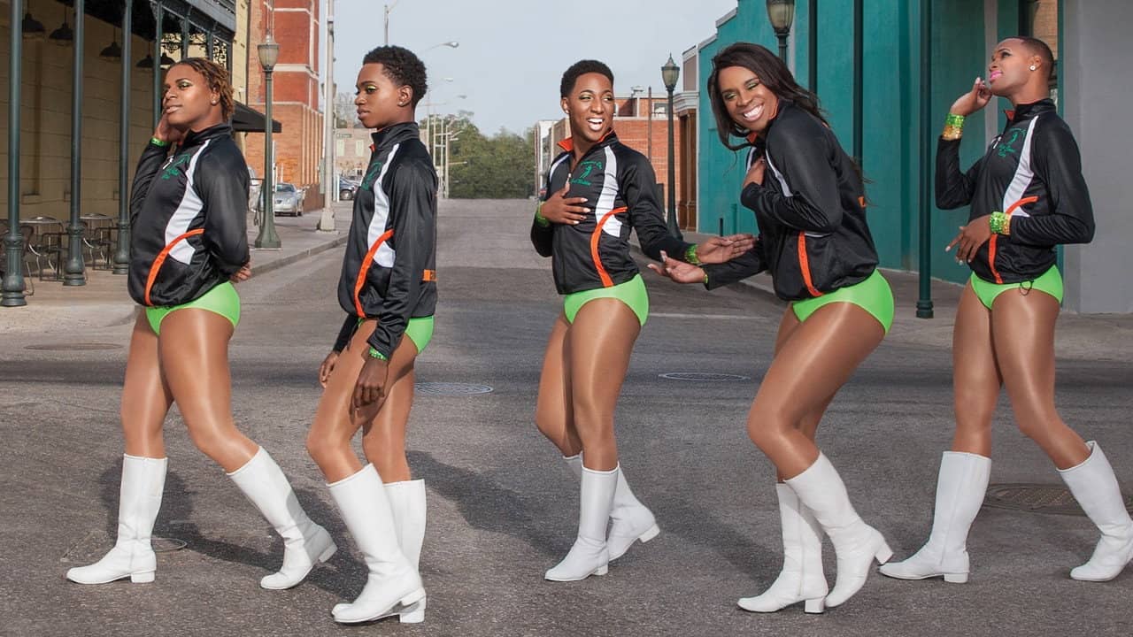 The Prancing Elites Project backdrop