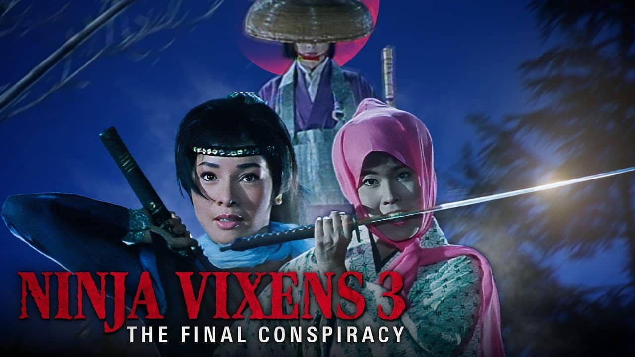The Ninja Vixens III: The Final Conspiracy backdrop