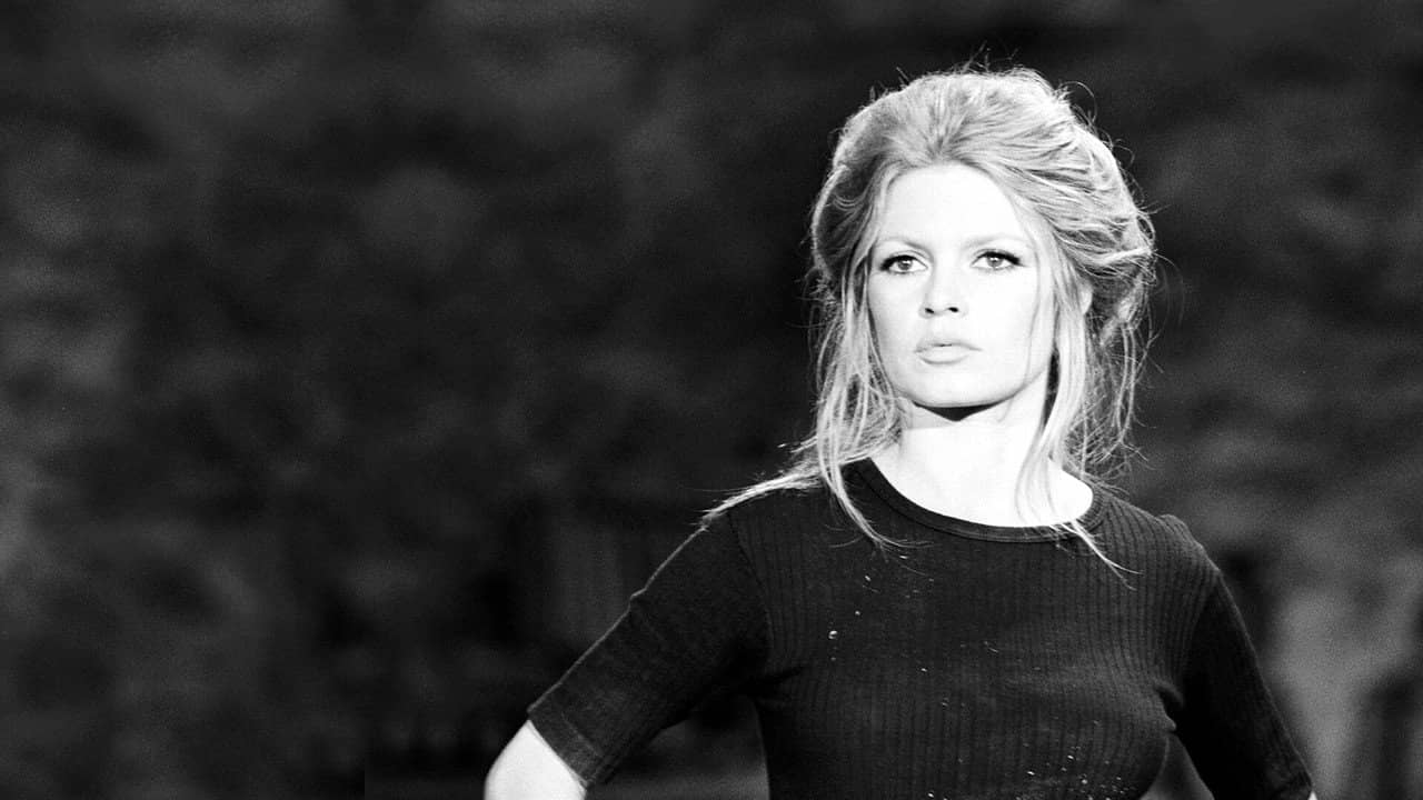 Brigitte Bardot confidentiel backdrop