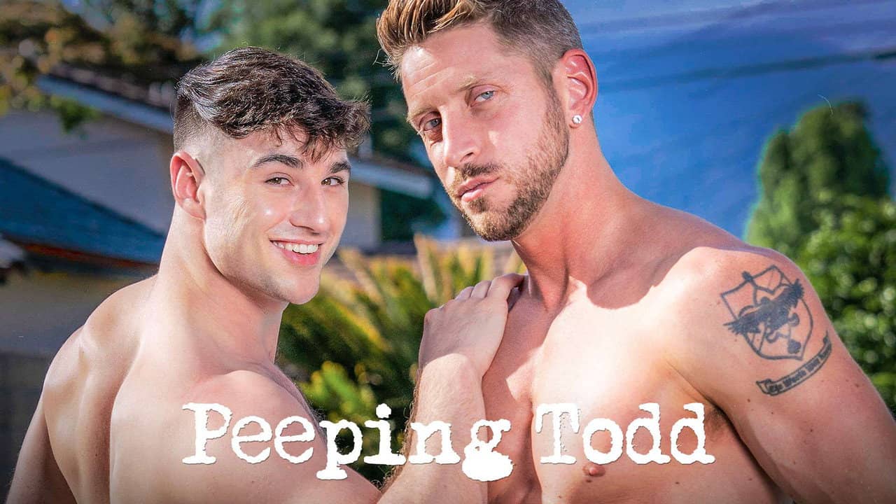 Peeping Todd backdrop