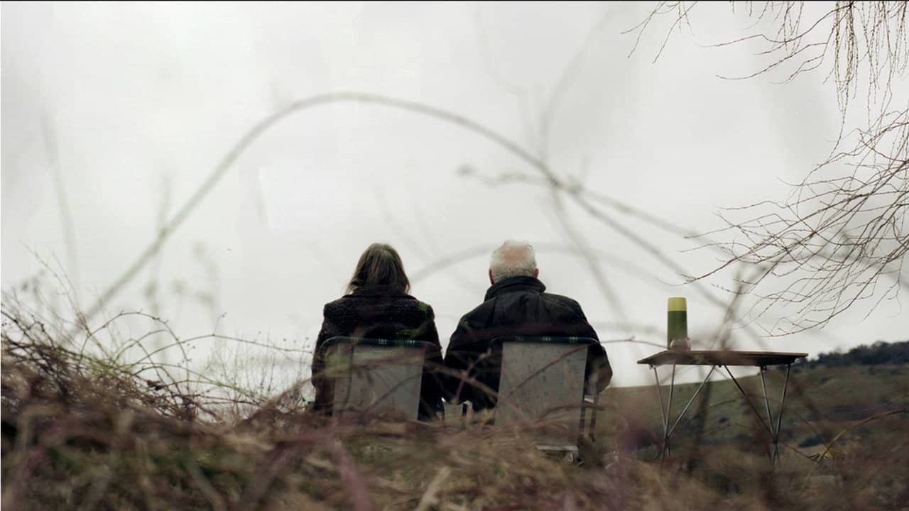 Allotment backdrop