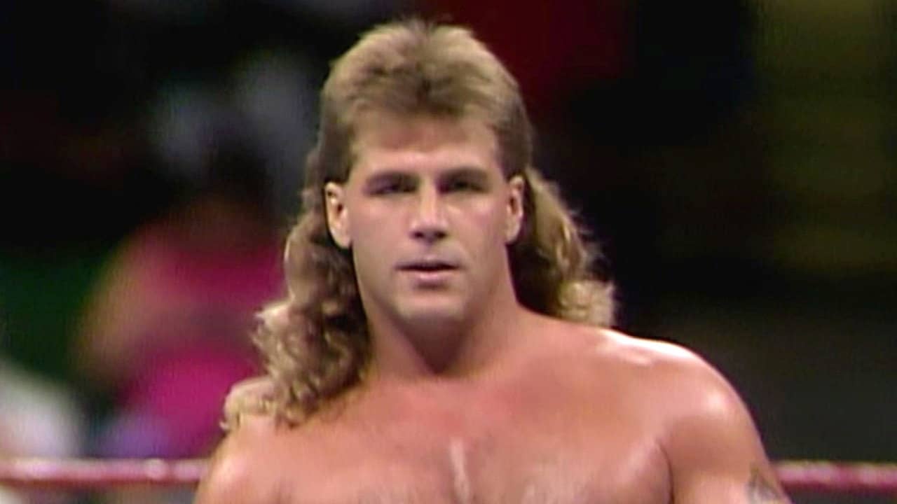 Shawn Michaels: Hits from the Heartbreak Kid backdrop