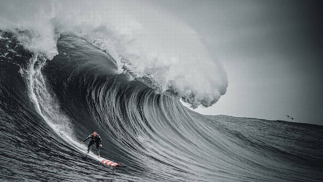 The Secret Life of Waves backdrop