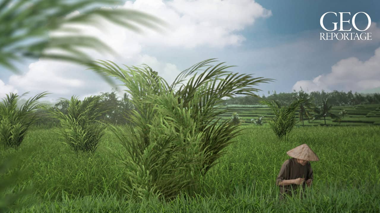 360° Reportage backdrop