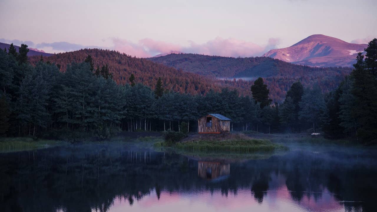 Walden: Life in The Woods backdrop